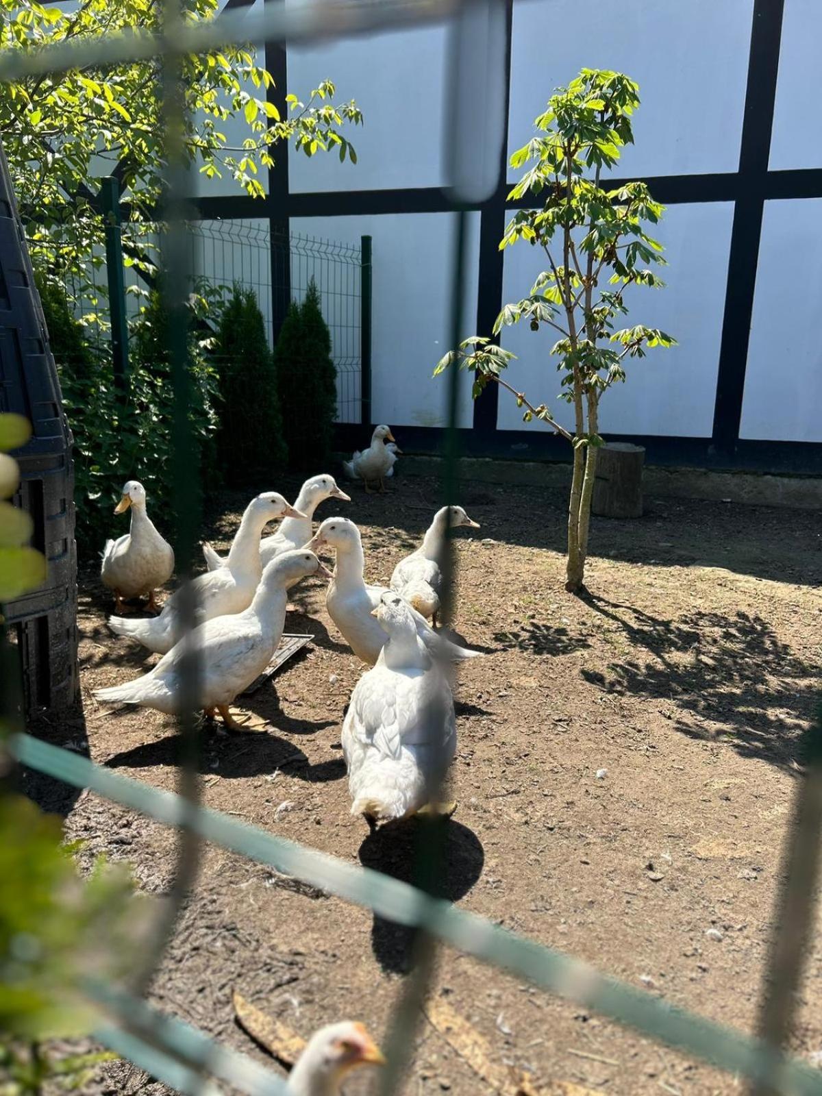 Pokoje Goscinne Nad Morzem 보볼린 외부 사진