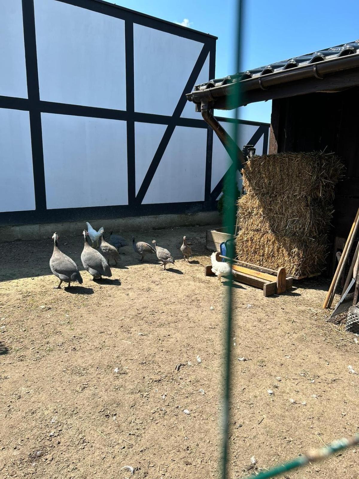 Pokoje Goscinne Nad Morzem 보볼린 외부 사진